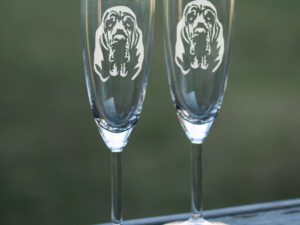 Champagneglas blodhund