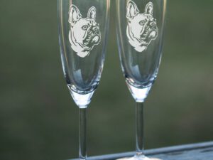 Champagneglas fransk bulldog