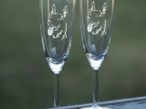 Champagneglas belgisk vallhund malinois