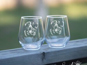 Glas appenzeller sennenhund