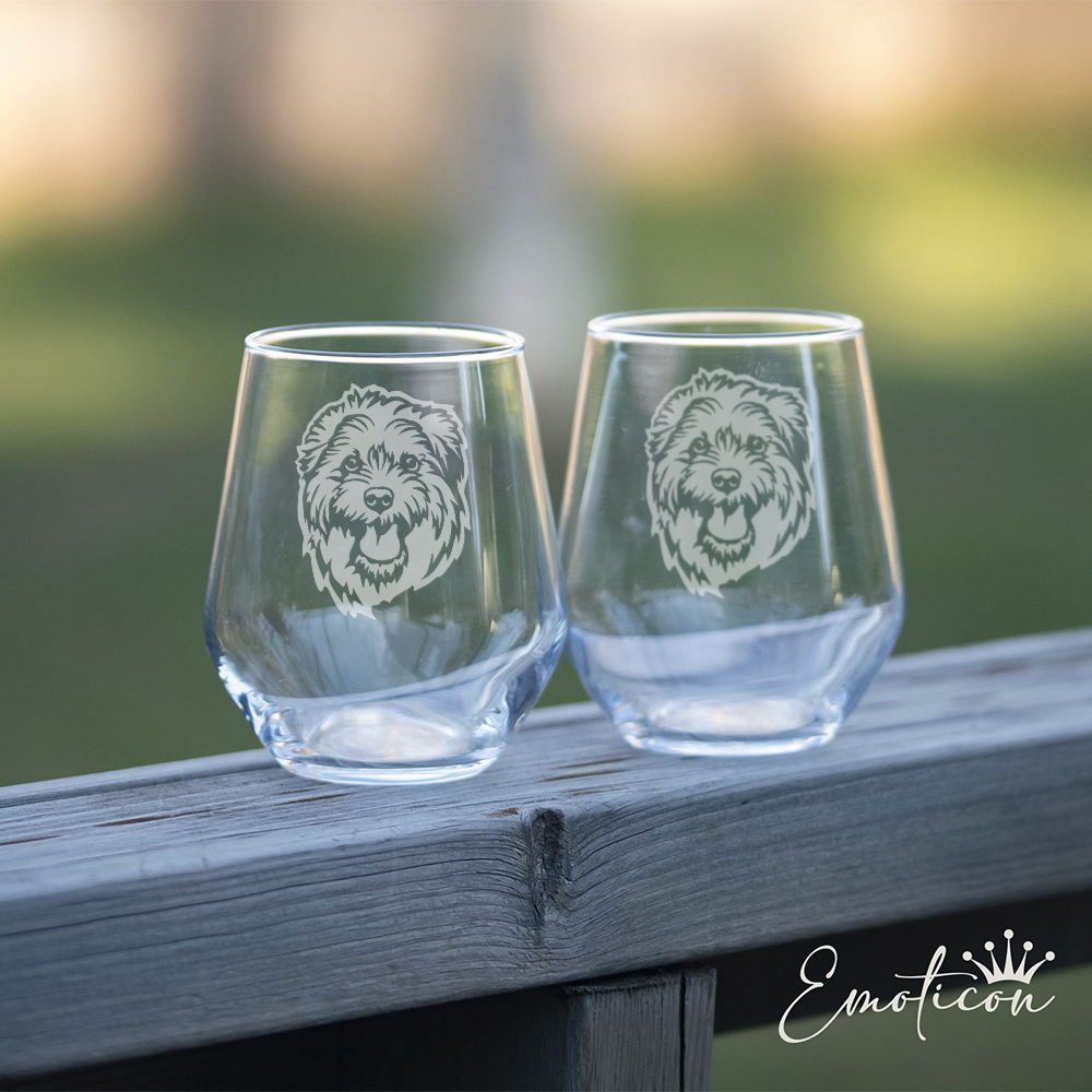 Glas norfolkterrier