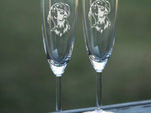 Champagneglas bluetick coonhound