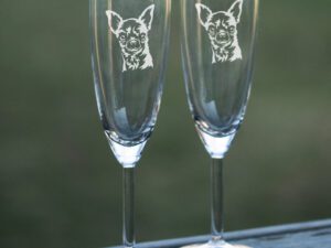 Champagneglas chihuahua