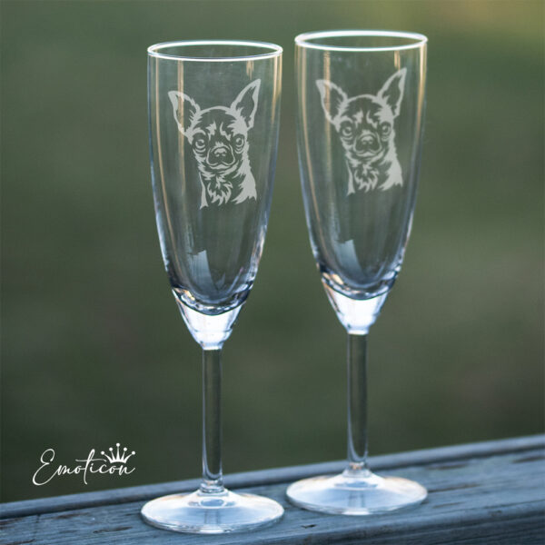 Champagneglas chihuahua, korthårig