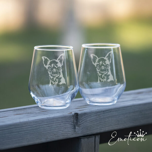Glas chihuahua, korthårig