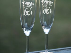 Champagneglas griffon bruxellois