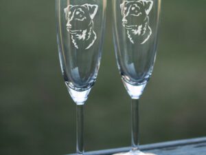 Champagneglas tysk jaktterrier