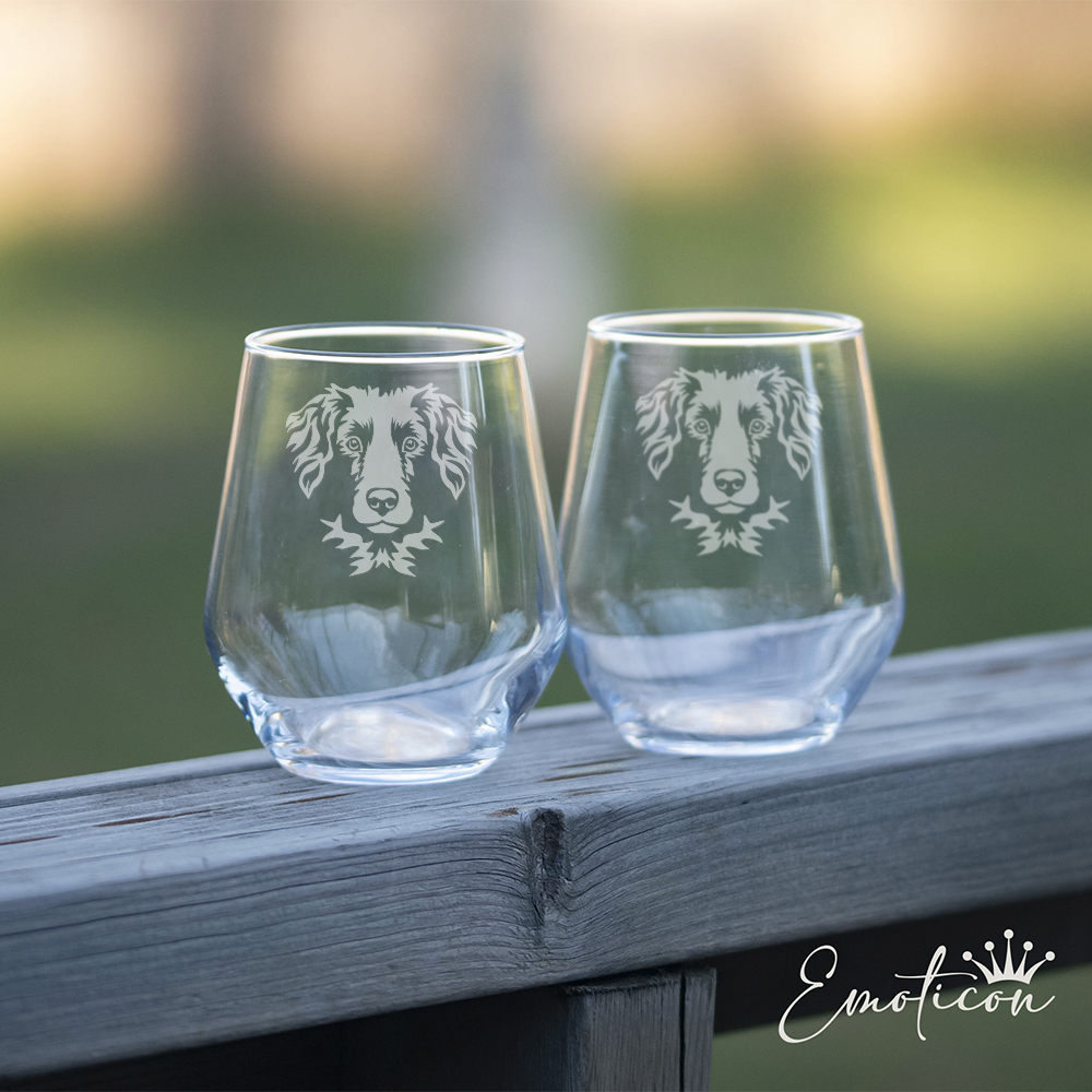 Glas stabijhoun