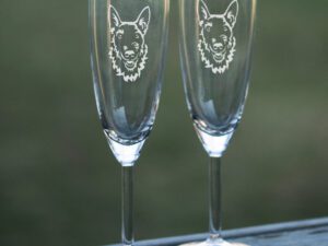 Champagneglas belgisk vallhund laekenois