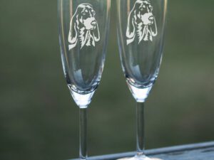 Champagneglas schweizisk stövare