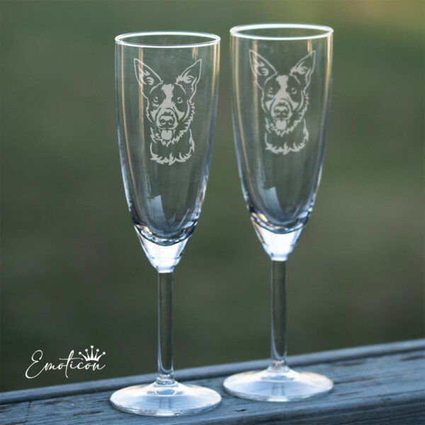 Champagneglas australian koolie