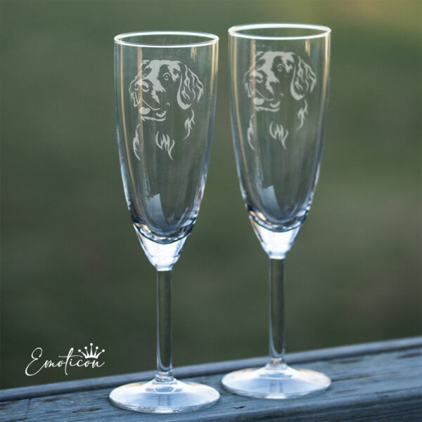 Champagneglas flatcoated retriever