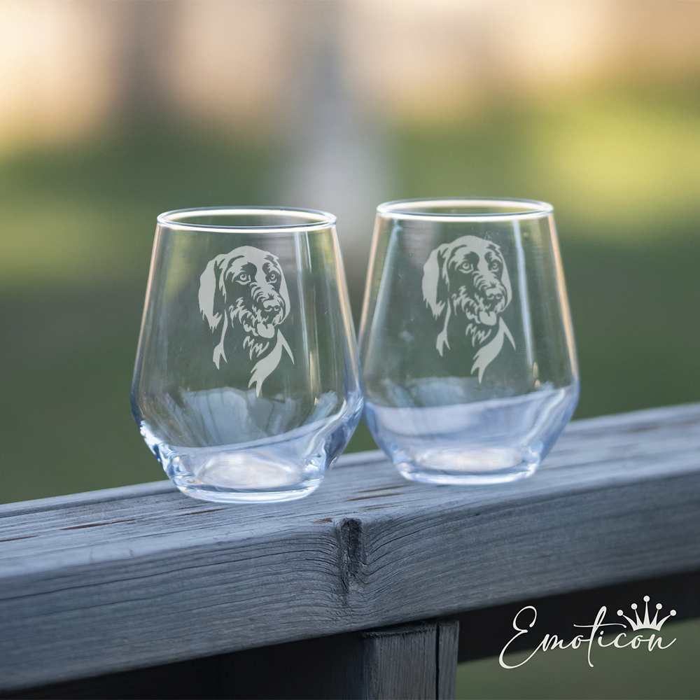 Glas ungersk vizsla, strävhårig