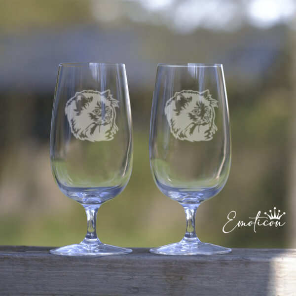 Ölglas katt - birma