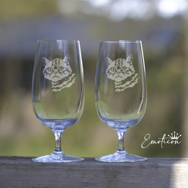 Ölglas katt - brittiskt korthår
