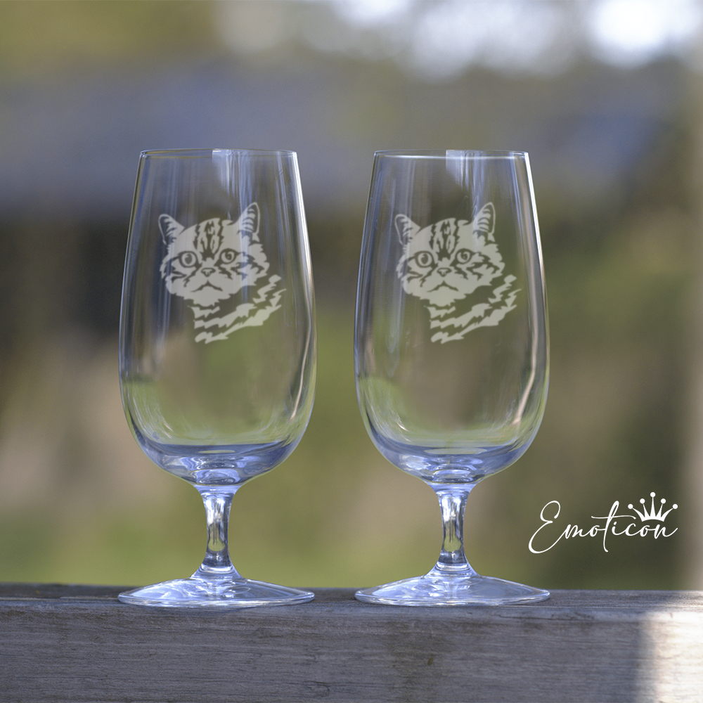 Ölglas katt - brittiskt korthår