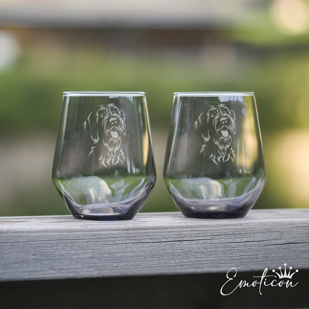 Grå glas griffon d'arret à poil dur