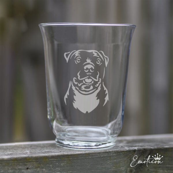 Vas/ljuslykta american staffordshire terrier