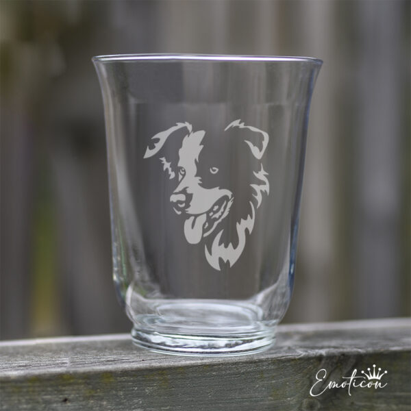 Vas/ljuslykta border collie