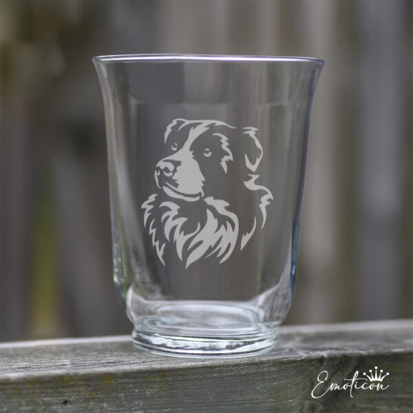 Vas/ljuslykta border collie