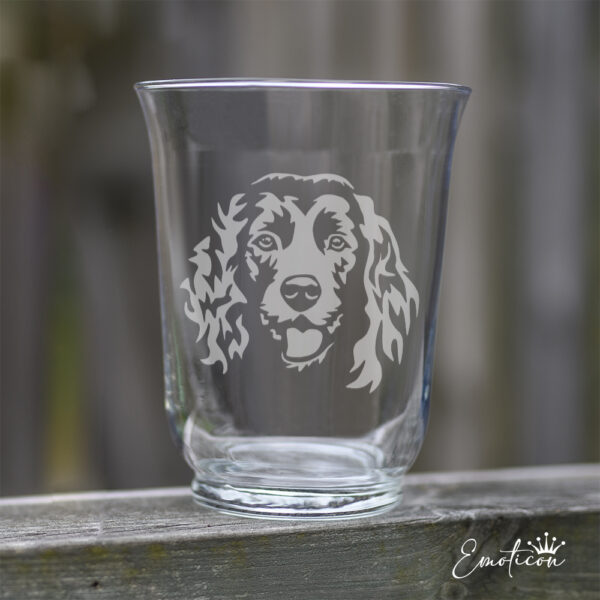 Vas/ljuslykta boykinspaniel