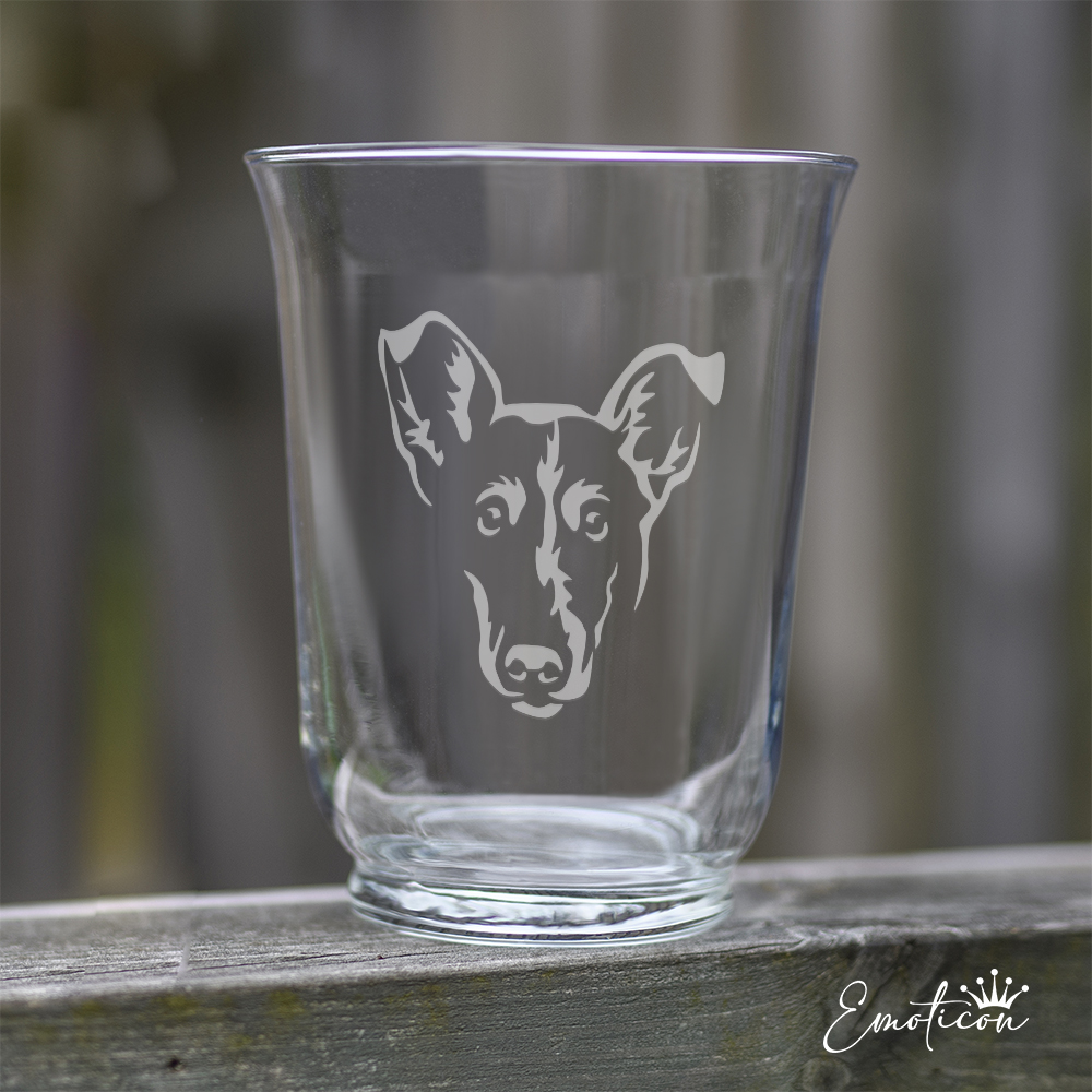 Vas/ljuslykta collie, korthårig