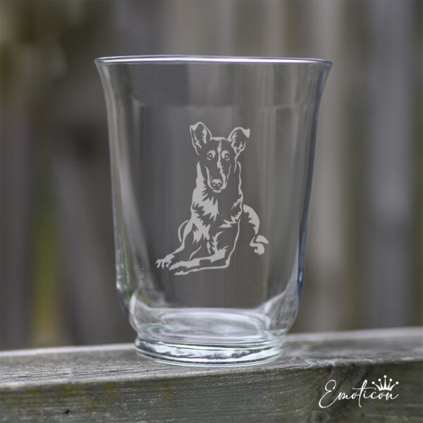 Vas/ljuslykta collie, korthårig