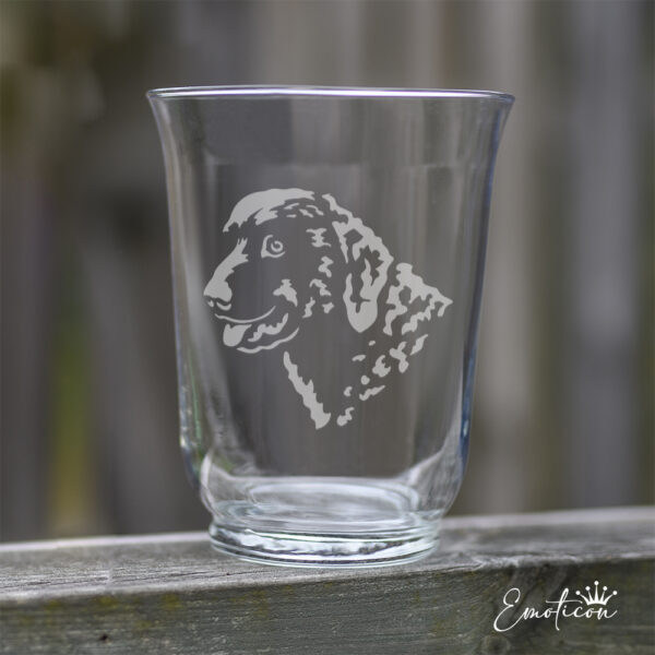 Vas/ljuslykta curly coated retriever