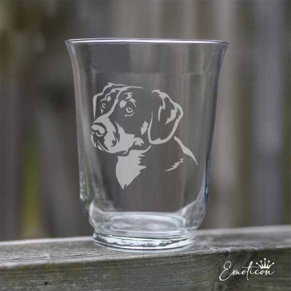 Vas/ljuslykta entlebucher sennenhund