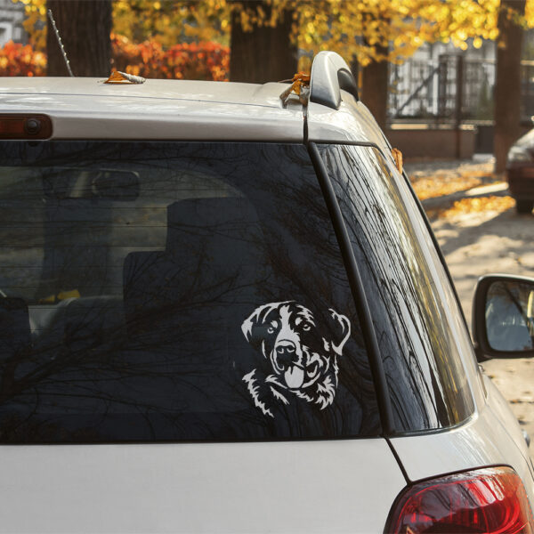 Dekal appenzeller sennenhund