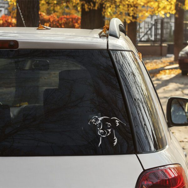 Dekal dvärgpinscher