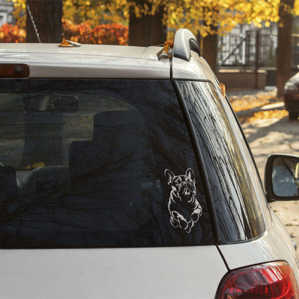 Dekal fransk bulldogg