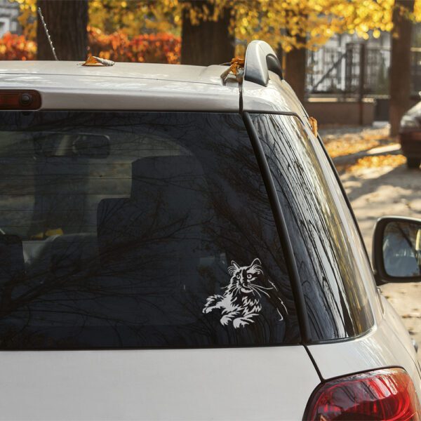 Dekal katt - ragdoll