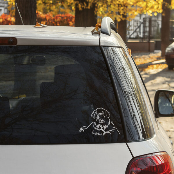 Dekal newfoundlandshund