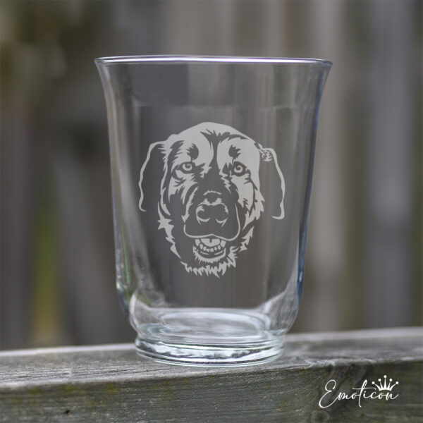 Vas/ljuslykta kangal çoban köpegi