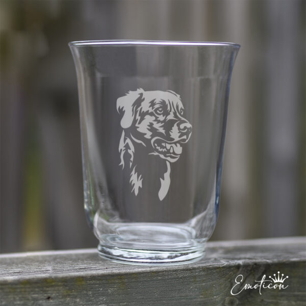 Vas/ljuslykta labrador retriever