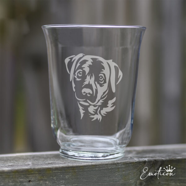 Vas/ljuslykta labrador retriever