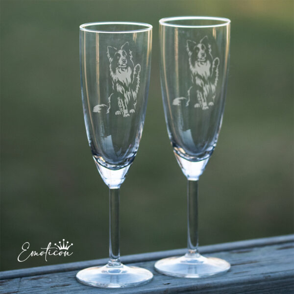 Champagneglas border collie