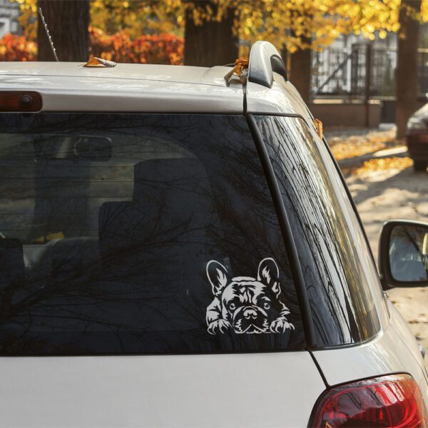 Dekal fransk bulldogg