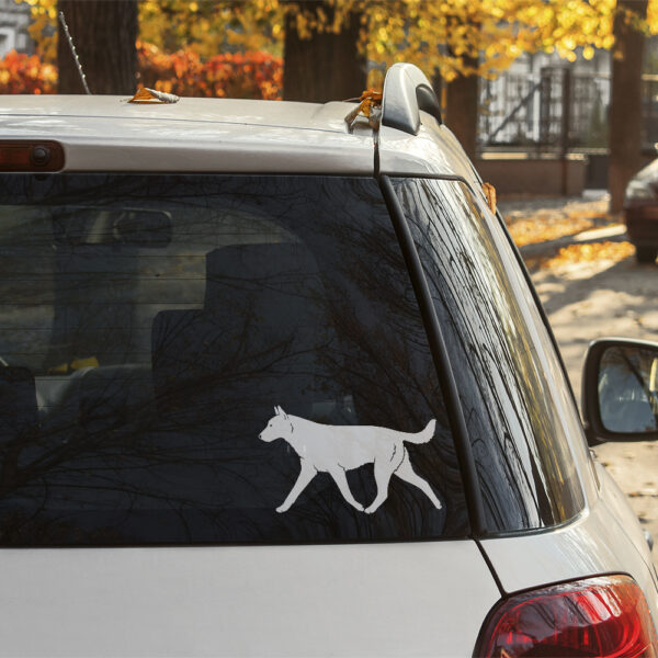 Dekal belgisk vallhund malinois