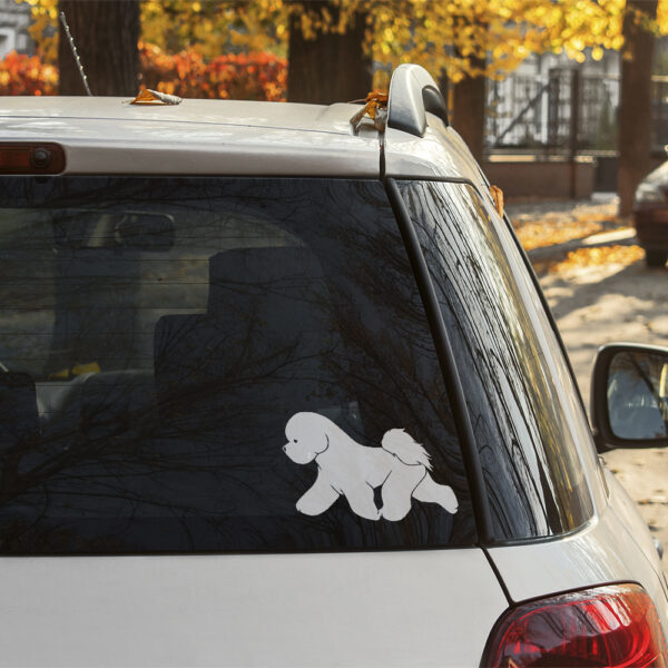 Dekal bichon frisé