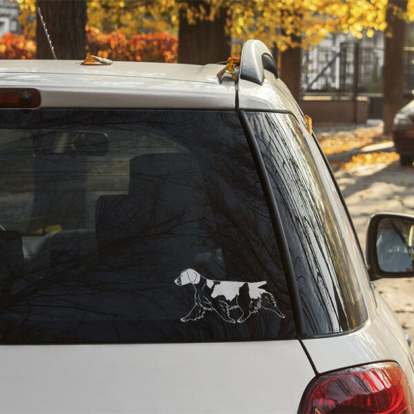 Dekal welsh springer spaniel