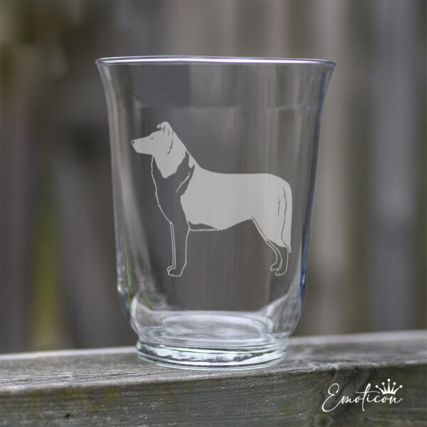Vas/ljuslykta collie, korthårig