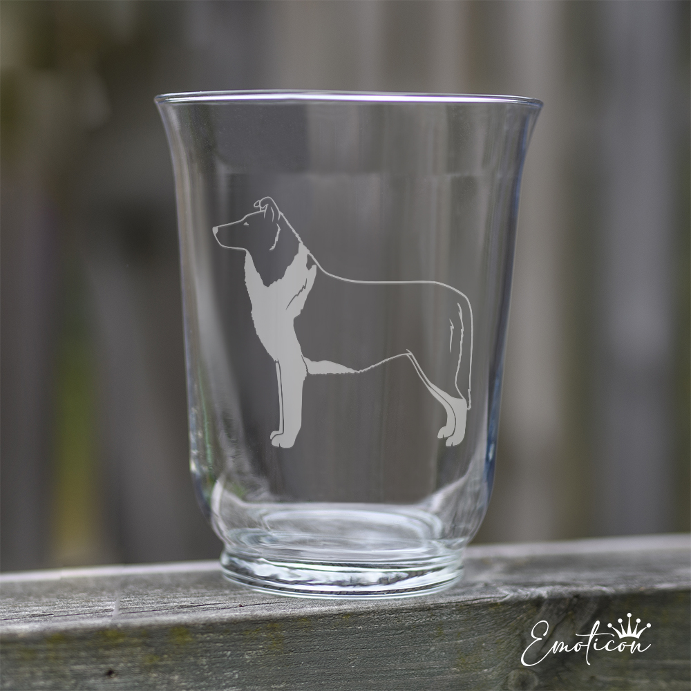 Vas/ljuslykta collie, korthårig