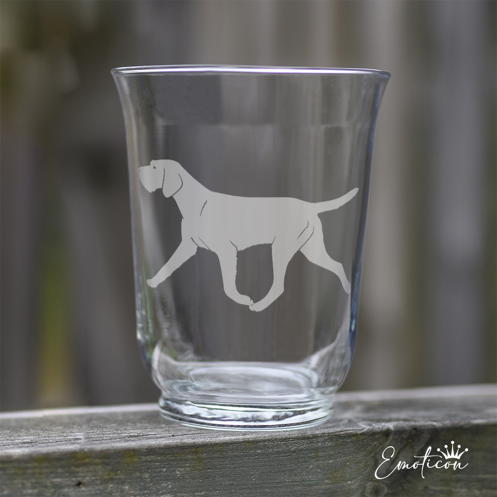 Vas/ljuslykta ungersk vizsla, strävhårig