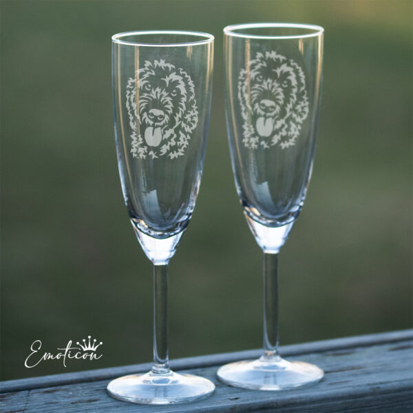 Champagneglas goldendoodle