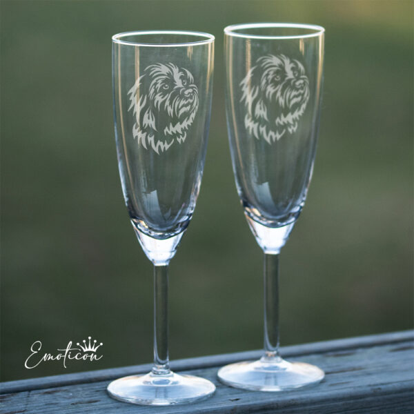 Champagneglas coton de tuléar