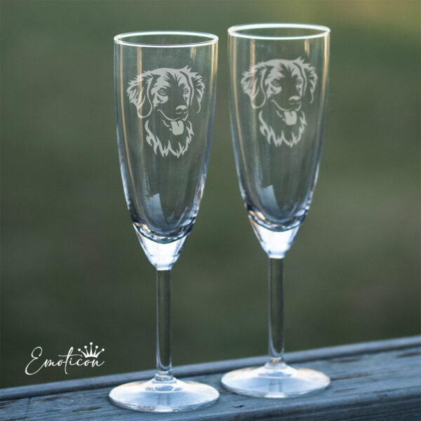Champagneglas howavart