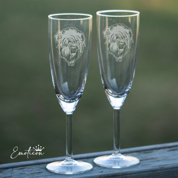 Champagneglas irish softcoated wheaten terrier