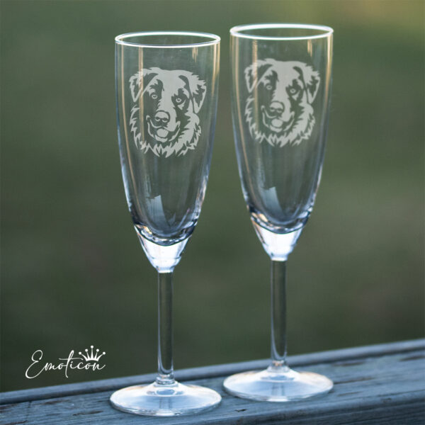 Champagneglas kuvasz